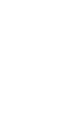 vertical